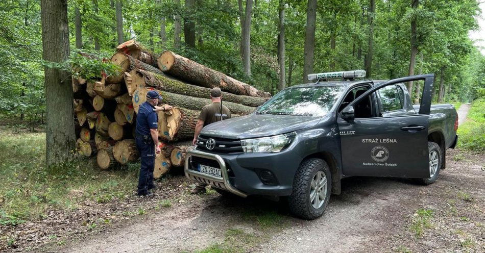 zdjęcie: Przeciwdziałają kradzieży drewna i kłusownictwu / fot. KPP Mogilno
