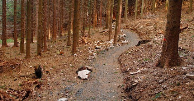 Wschowa: Podpisano umowę na ścieżkę rowerową do Starych Drzewiec