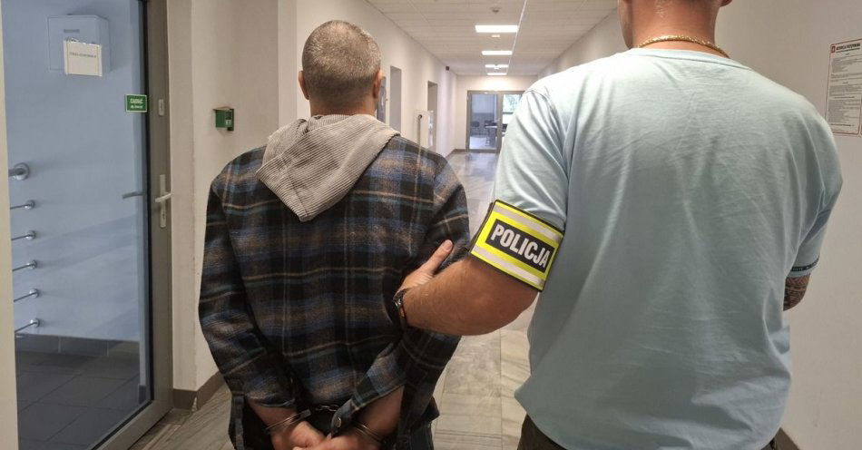 zdjęcie: Dzięki skutecznej pracy kryminalnych zatrzymano sprawcę serii kradzieży / fot. KMP w Piotrkowie Trybunalskim