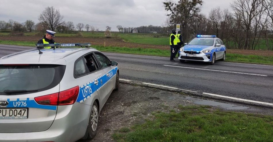 zdjęcie: Wolf-Ram-23 we Wrześni / fot. KPP Wrzesnia