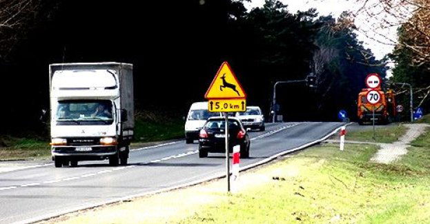 Jesienne zagrożenie na drogach Kolizje z dziką zwierzyną rosną