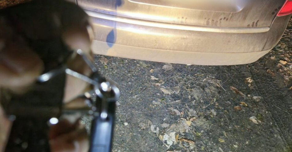 zdjęcie: Zatrzymani kierowcy pomimo zakazu i bez uprawnień / fot. KPP Strzelce Opolskie