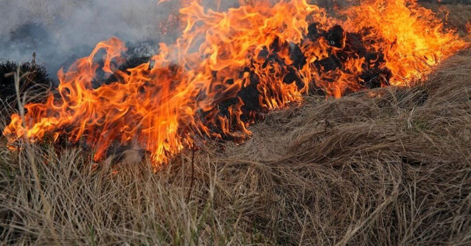 zdjęcie: Straż Pożarna walczy z pożarem pod Wyszkowem; płonie 25 hektarów lasu i łąk / Kopytkowo, 20.04.2020. Pożar w Biebrzańskim Parku Narodowym, 20 bm. we wsi Kopytkowo (woj. podlaskie). Straż pożarna poinformowała, że sponęło około 500 ha bagiennych łąk i lasów. Strażacy, straż leśna, pracownicy parku wciąż walczą z ogniem. Używane są trzy samoloty gaśnicze. Ogień zauważono w niedzielę po południu. Po ugaszeniu pożar wybuchł ponownie w poniedziałek, 20 bm. rano. Akcję utrudnia wiatr, który wieje ze zmiennych kierunków. (ar/awol) PAP/Artur Reszko