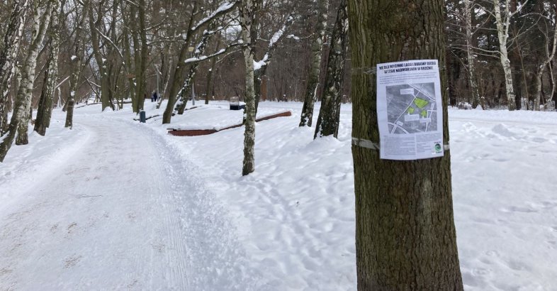 zdjęcie: Nie dla wycinki lasu i budowy osiedla  w lesie nadmorskim w Brzeźnie / fot. nadesłane