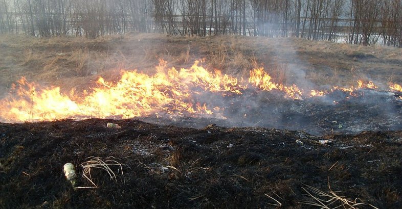 zdjęcie: ARiMR przypomina - wypalanie traw grozi utratą dopłat / https://commons.wikimedia.org/wiki/File:%D0%93%D0%BE%D1%80%D1%8F%D1%89%D0%B0%D1%8F_%D0%BF%D1%80%D0%BE%D1%88%D0%BB%D0%BE%D0%B3%D0%BE%D0%B4%D0%BD%D1%8F%D1%8F_%D1%82%D1%80%D0%B0%D0%B2%D0%B0_%D0%BD%D0%B0_