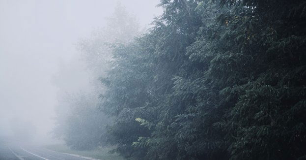 IMiGW wydał ostrzeżenie przed gęstą mgłą