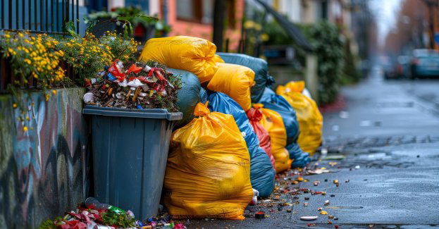 Miejska spółka ogłosiła przetarg na odbiór odpadów komunalnych