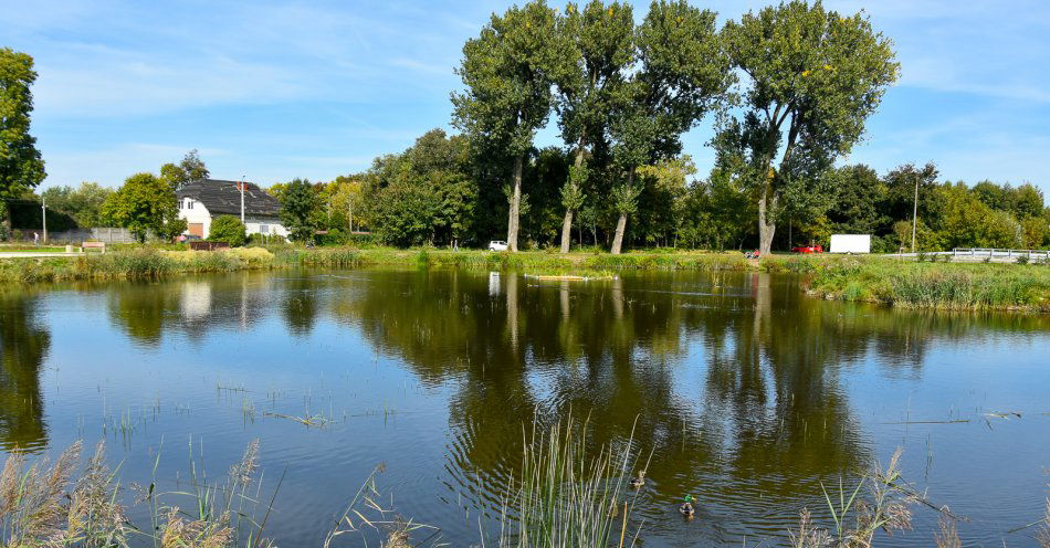 zdjęcie: Pierwszy użytek ekologiczny w Białymstoku / fot. nadesłane