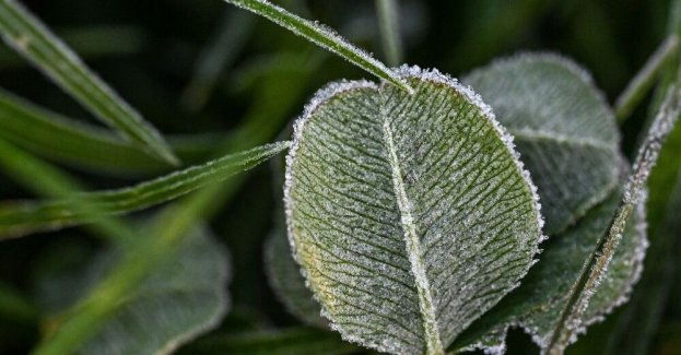 IMGW wydał ostrzeżenia dla 10 województw przed silnym wiatrem, przymrozkami oraz roztopami.