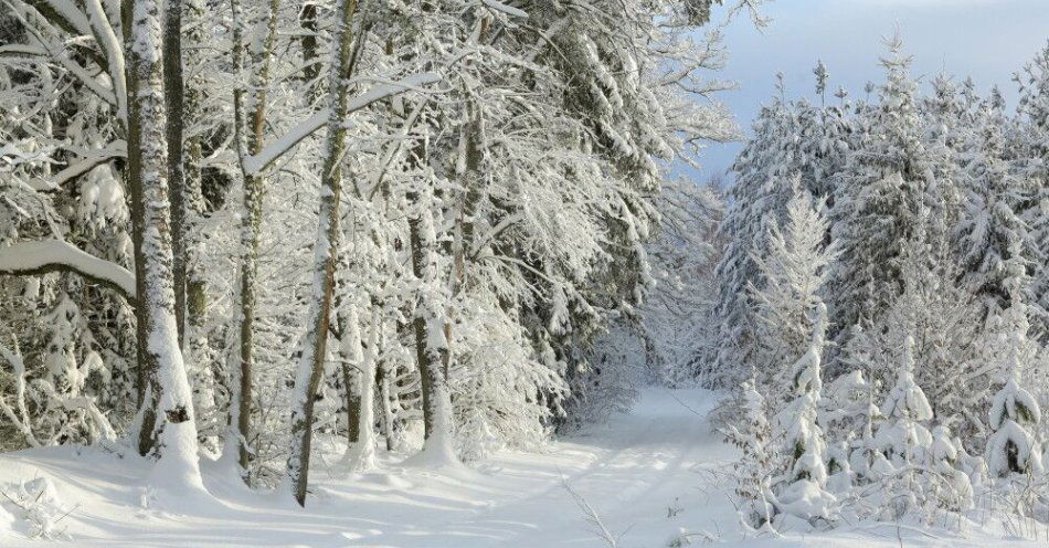 zdjęcie: PSP: 1 stycznia strażacy interweniowali 346 razy w związku z intensywnymi opadami śniegu / Okolice Olsztyna, 31.12.2025. Droga nr 598 w okolicy miejscowości Zazdrość pod Olsztynem, 31 bm. W województwie warmińsko-mazurskim wciąż utrzymują się intensywne opady śniegu. Warunki na drogach są ekstrealnie trudne. (ad) PAP/Tomasz Waszczuk