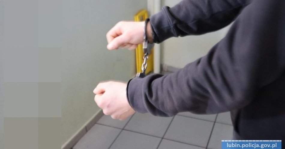 zdjęcie: 3 miesiące aresztu za znęcanie nad żoną / fot. KPP w Lubienie