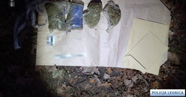 Ukrył w lesie narkotyki, które chciał wprowadzić na czarny rynek