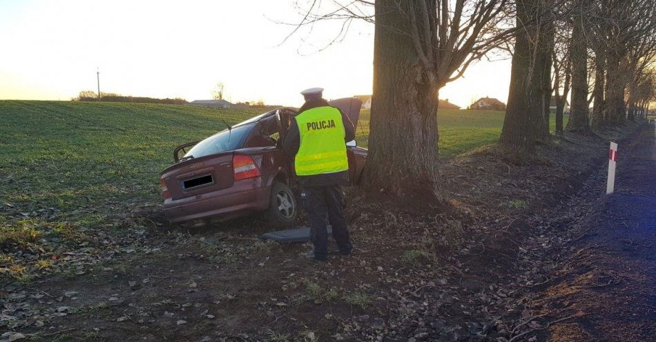 zdjęcie: Uderzyła oplem w drzewo / fot. KPP Mogilno