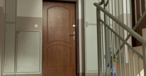 Zarzuty dla 20-latki za znęcanie się nad psem; jej suczka była odwodniona i wychudzona