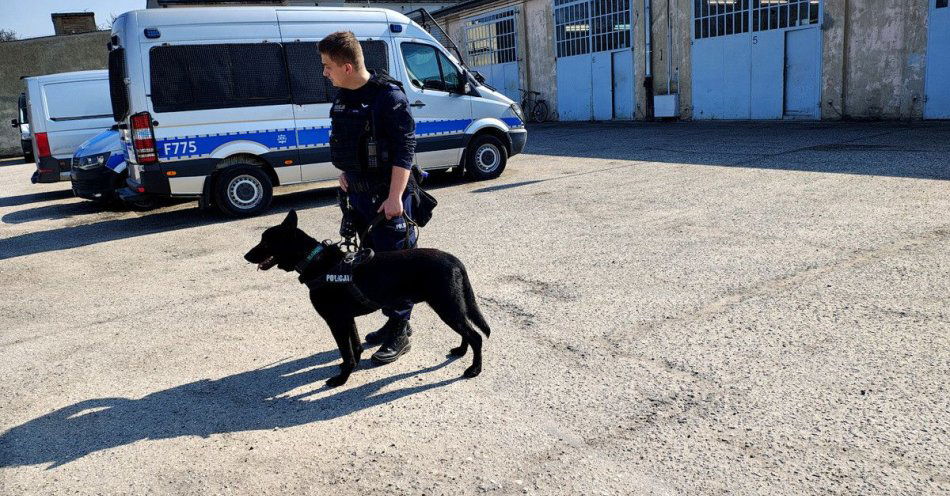 zdjęcie: Hades dołączył do piotrkowskiej policji jako czworonożny funkcjonariusz / fot. KMP w Piotrkowie Trybunalskim