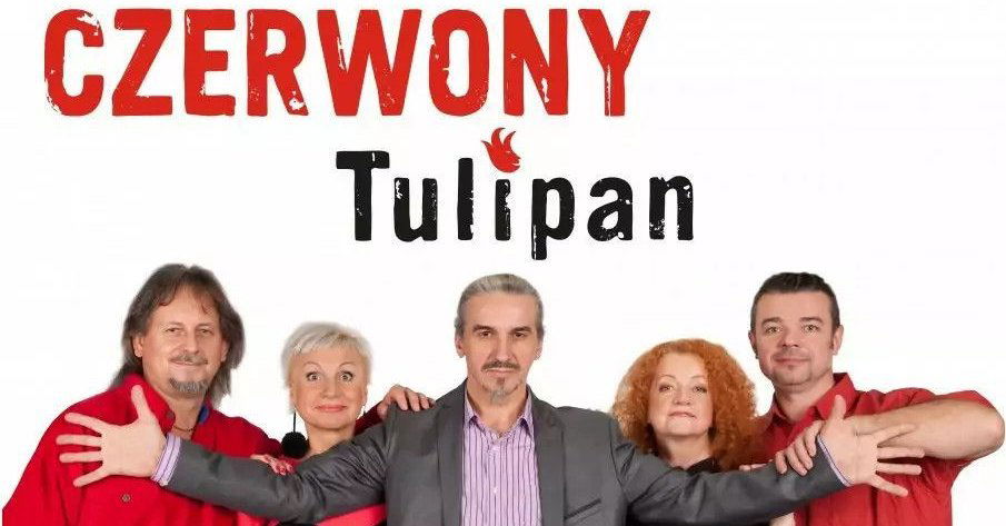 zdjęcie: Czerwony Tulipan - koncert Nasz Miszmasz- Pożegnanie z Sową / kupbilecik24.pl / Czerwony Tulipan - koncert 