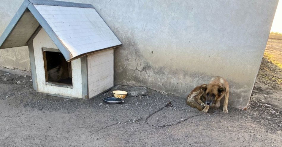 zdjęcie: Kujawsko-Pomorscy Animalsi dziękują policjantom z Kruszwicy / fot. KPP Inowrocław