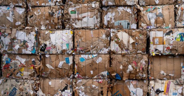 Znaczna suma pieniędzy na sortowni odpadów. Poszukujemy właściciela