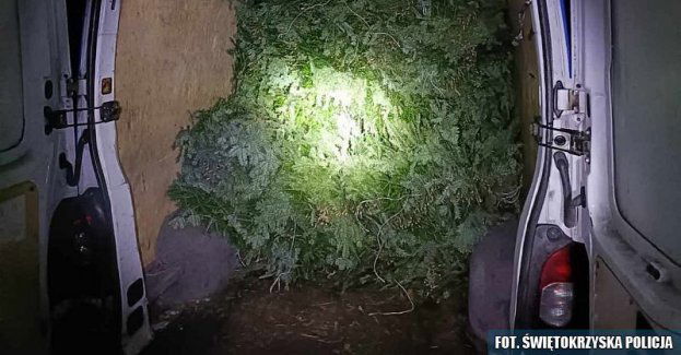 Stroisz w busach i w komórce