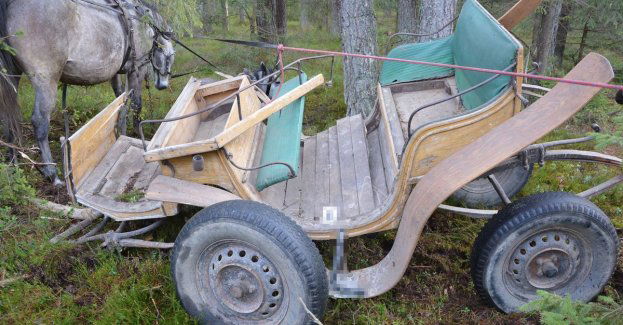 Woźnica trafił do szpitala