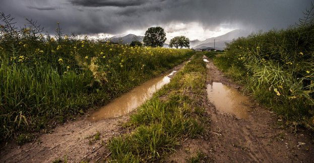 W nocy na wschodzie i na północy burze i deszcz