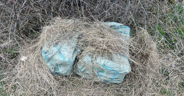 Ojciec i syn z zarzutami