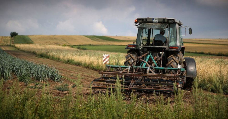 zdjęcie: Branża rolno-spożywcza zadłużona na prawie 761 mln zł / fot. PAP