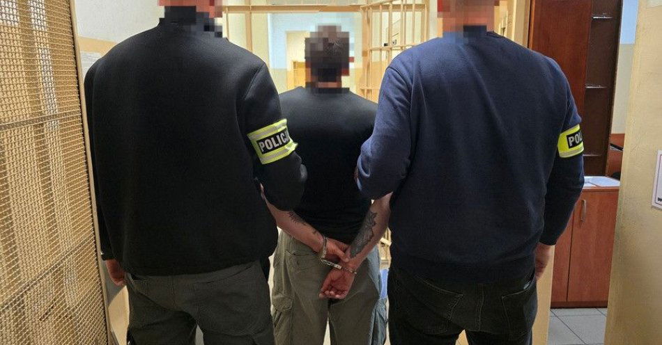 zdjęcie: Aresztowany oszust internetowy który wyłudził prawie 12 tys. zł / fot. KMP w Lesznie