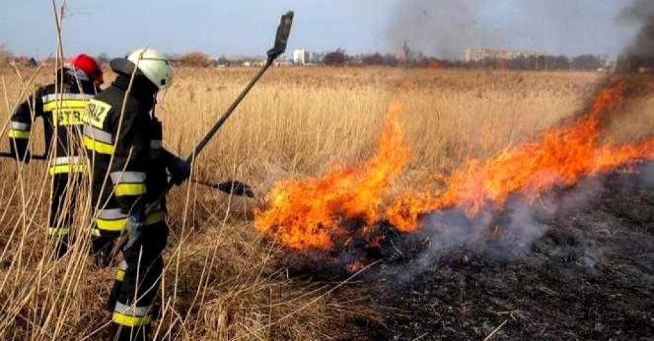 zdjęcie: Wypalanie traw zagraża życiu i grozi surowymi karami / fot. KMP w Przemyślu