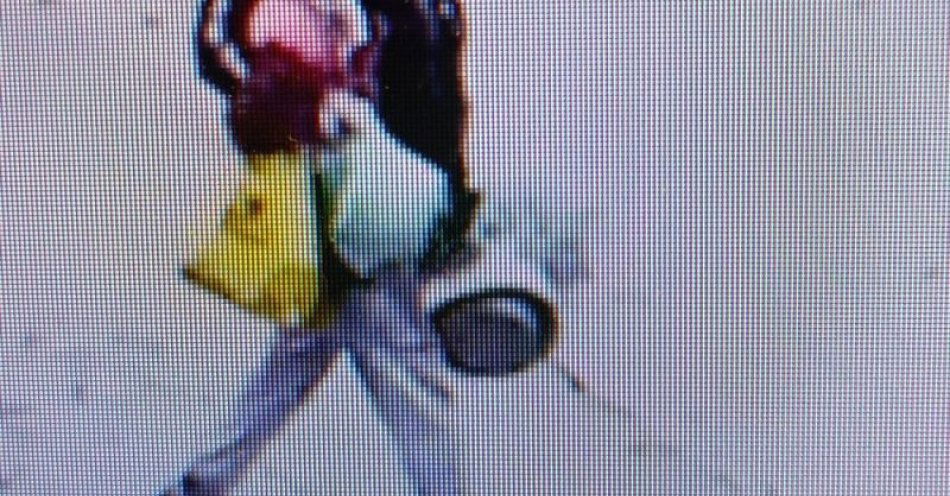 zdjęcie: Zniszczono kilkanaście nagrobków na cmentarzu w Starachowicach / fot. KPP Starachowice