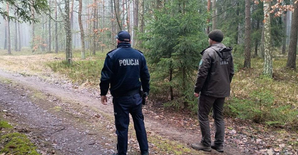 zdjęcie: Akcja Choinka Policja i Straż Leśna walczą z kradzieżami / fot. KPP w Przasnyszu
