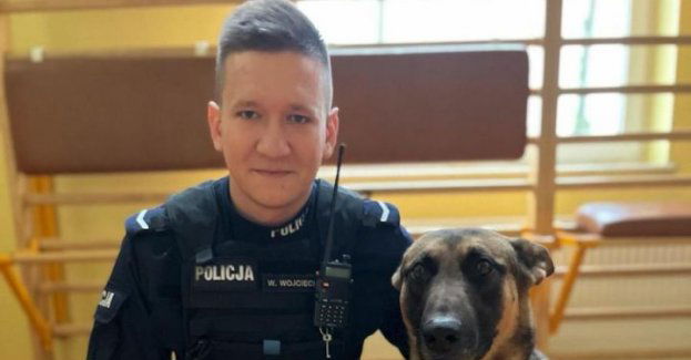 Psi nos doprowadził do sprawcy kradzieży