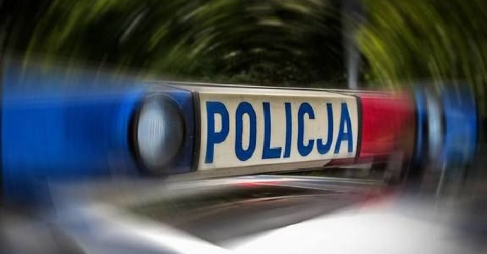 zdjęcie: Nietrzeźwy sprawca kolizji / fot. KMP w Radomiu