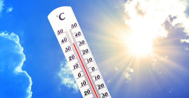 Ostrzeżenie przed upałem na południu regionu