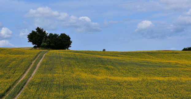 Wracają Walne Plachandry Kociewskie. Tym razem wraz z Festiwalem Smaku w Grucznie