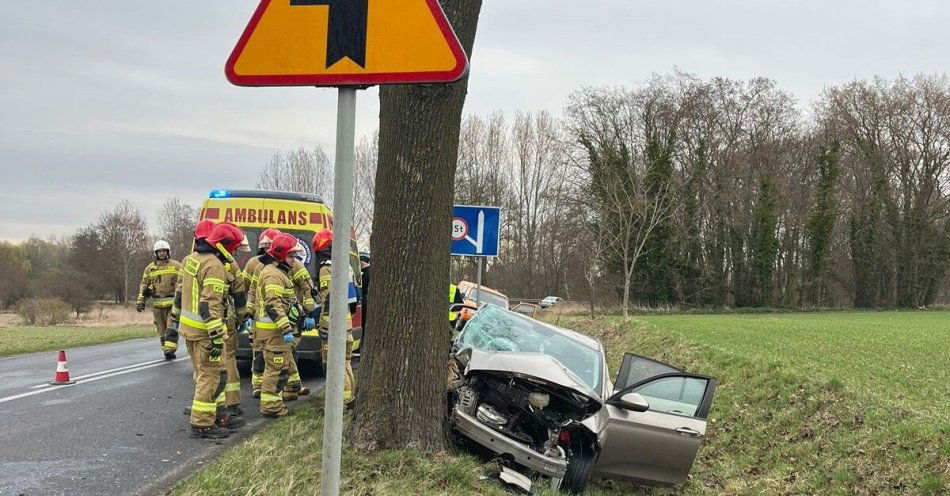 zdjęcie: Fiat uderzył w drzewo w Olszy. Kierująca trafiła do szpitala / fot. KPP Mogilno