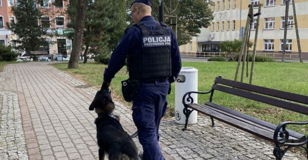 Przewodnik psa zatrzymał poszukiwanego podczas spaceru