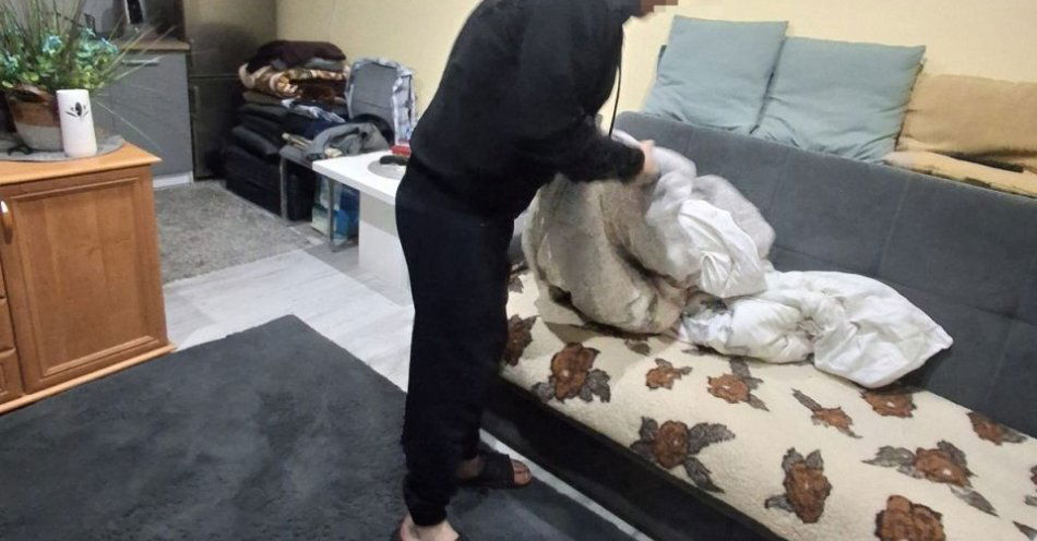 zdjęcie: Poszukiwany zatrzymany podczas snu w domku letniskowym / fot. KPP Parczew