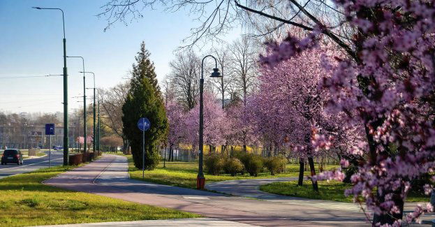Dalej świętujemy urodziny miasta