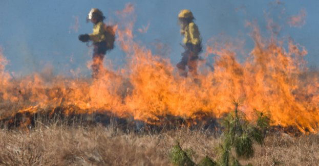 Wypalanie traw - zabronione