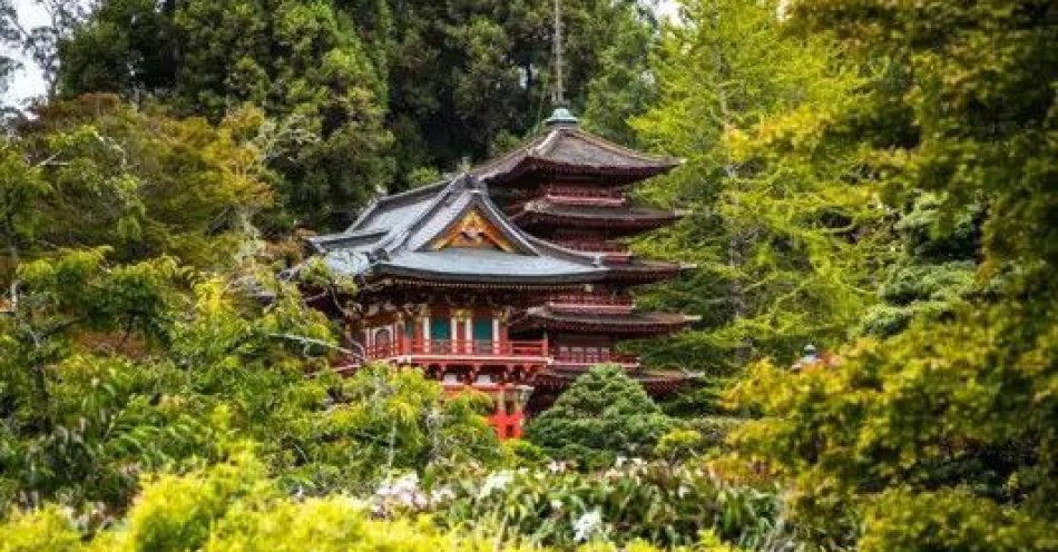 zdjęcie: Karawana opowieści / kupbilecik24.pl / Karawana opowieści