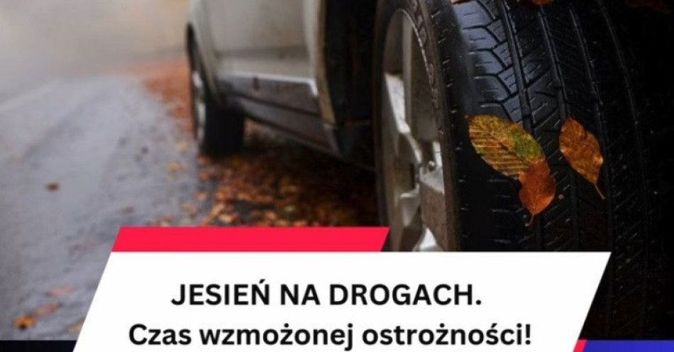 zdjęcie: Jesień na drogach. Jak zadbać o bezpieczeństwo wszystkich / fot. KPP w Działdowie