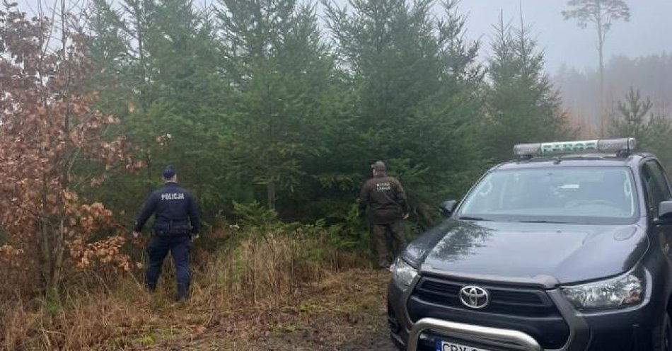 zdjęcie: Bydgoscy policjanci i leśnicy prowadzą kontrole lasów / fot. KWP w Bydgoszczy