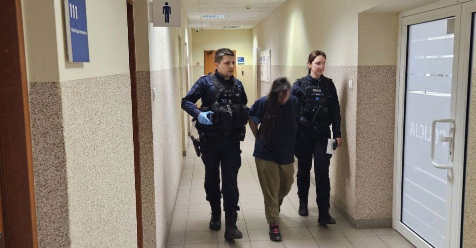 zdjęcie: Kierowała mimo sądowego zakazu i stanęła przed sądem / fot. KPP Wolsztyn Policjanci podczas doprowadzania zatrzymanej kobiety do sądu