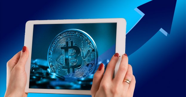 Straciła na kryptowalutach, później oszukał ją znajomy, który zaoferował pomoc