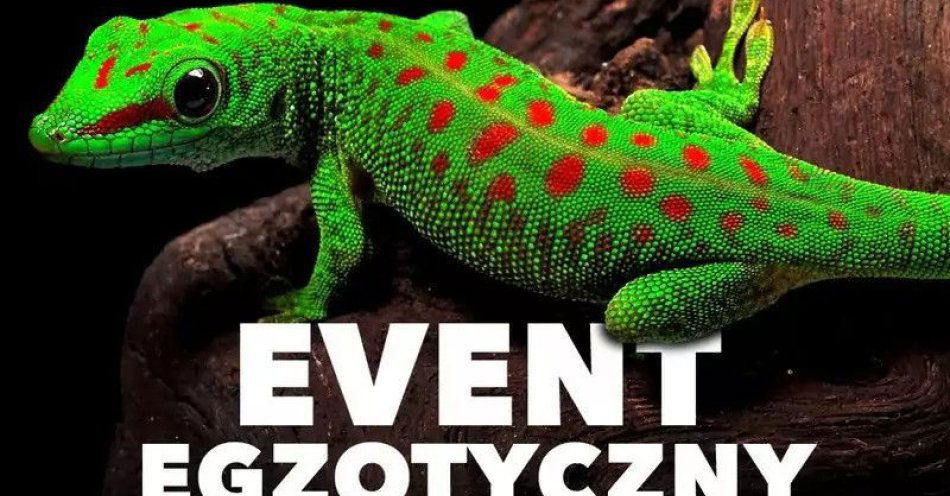 zdjęcie: ZooEgzotyka / kupbilecik24.pl / ZooEgzotyka