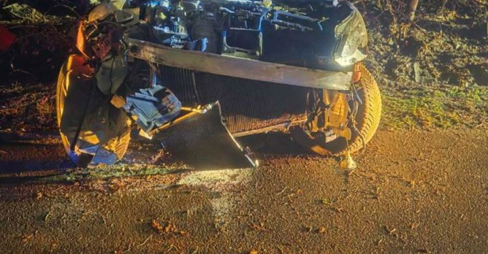 zdjęcie: Sarna wtargnęła na jezdnię i zmusiła kierowcę do zjazdu / fot. KPP w Płońsku