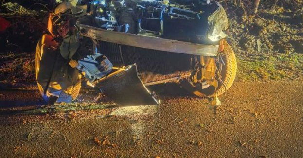 Sarna wtargnęła na jezdnię i zmusiła kierowcę do zjazdu