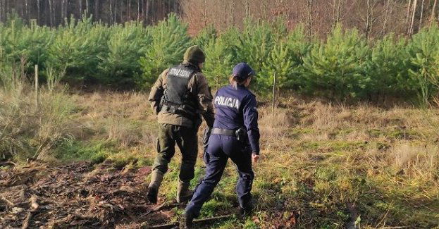 Zakazy wstępu do lasu w związku z suszą