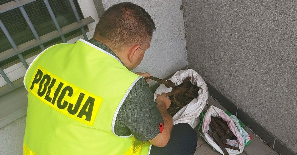 zdjęcie: Wpadł na kradzieży śrub do mocowania szyn / fot. KPP w Zduńskiej Woli